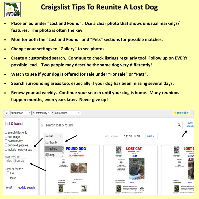 Craigslist - Florida cities - Lost Dogs Florida